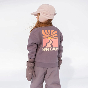 Варежки Wheat, горные звезды